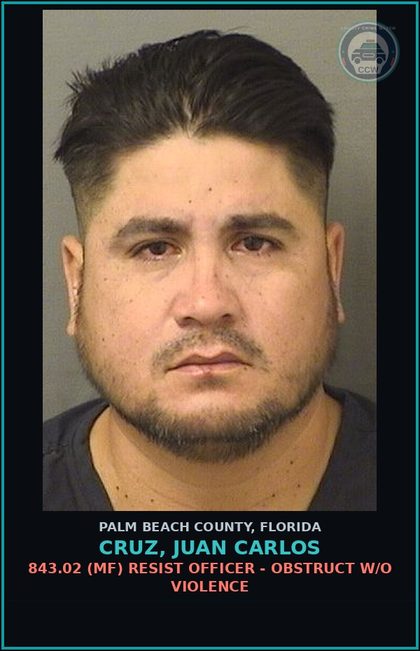 CCW arrest card for CRUZ, JUAN CARLOS in Palm Beach County: 316.193 1A (MS) DUI-UNLAW BLD ALCH - DUI INFLUENCE OF ALCOHOL OR DRUGS