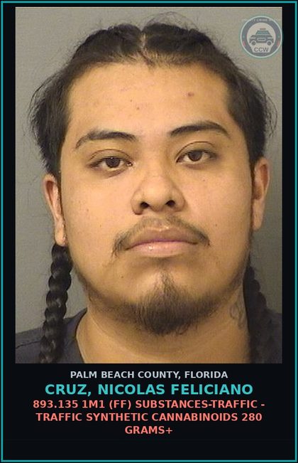 CCW arrest card for CRUZ, NICOLAS FELICIANO in Palm Beach County: 893.135 1M1 (FF) DRUGS-TRAFFIC - TRAFFIC SYNTHETIC CANNABINOIDS 280 GRAMS+
