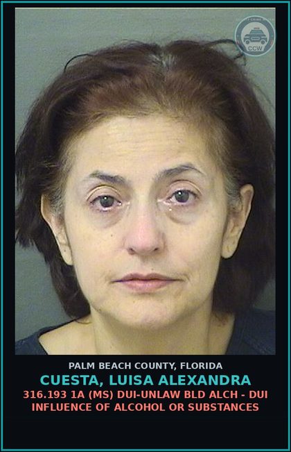 CCW arrest card for CUESTA, LUISA ALEXANDRA in Palm Beach County: 316.193 1A (MS) DUI-UNLAW BLD ALCH - DUI INFLUENCE OF ALCOHOL OR DRUGS