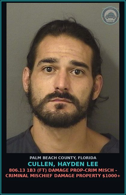 CCW arrest card for CULLEN, HAYDEN LEE in Palm Beach County: 806.13 1B3 (FT) DAMAGE PROP-CRIM MISCH - CRIMINAL MISCHIEF DAMAGE PROPERTY $1000+