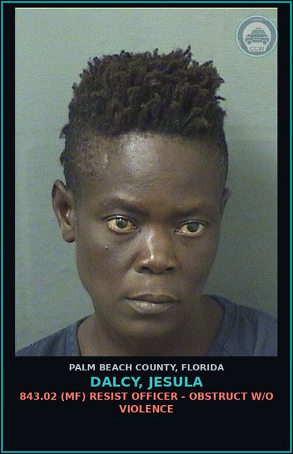 CCW arrest card for DALCY, JESULA in Palm Beach County: 999.9999 9999 MUNICIPAL ORDINANCE VIOL - MUNICIPAL ORDINANCE VIOL