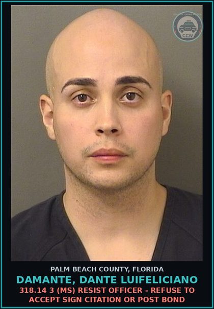 CCW arrest card for DAMANTE, DANTE LUIFELICIANO in Palm Beach County: 322.34 2A (MS) MOVING TRAFFIC VIOL - DRIV WHILE LIC SUSPEND REVOCATION EQUIV STATUS