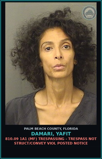 CCW arrest card for DAMARI, YAFIT in Palm Beach County: 810.09 1A1 (MF) TRESPASSING - TRESPASS NOT STRUCT/CONVEY VIOL POSTED NOTICE