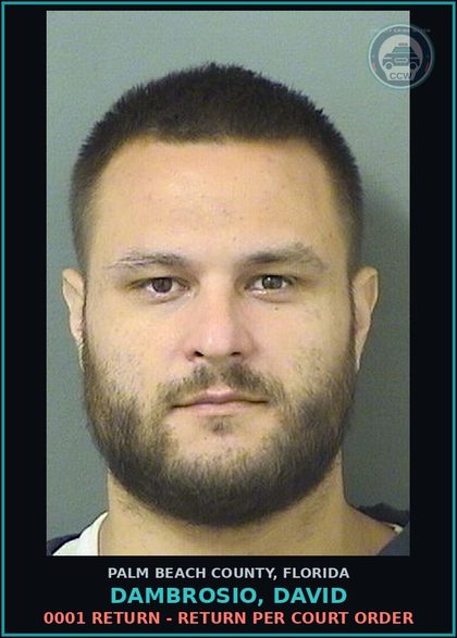 CCW arrest card for DAMBROSIO, DAVID in Palm Beach County: 0001 RETURN - RETURN PER COURT ORDER