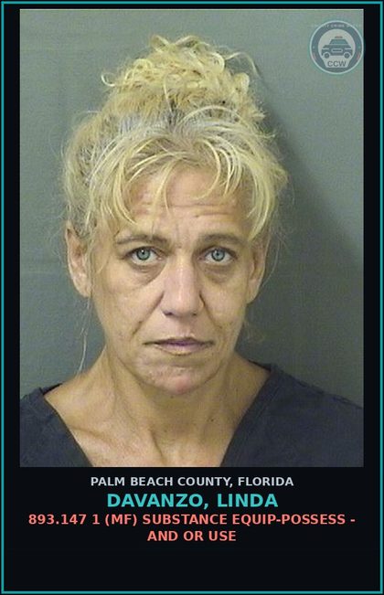 CCW arrest card for DAVANZO, LINDA in Palm Beach County: 843.15 1A (FT) FAILURE TO APPEAR -