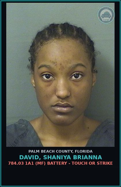 CCW arrest card for DAVID, SHANIYA BRIANNA in Palm Beach County: 784.03 1A1 (MF) BATTERY - TOUCH OR STRIKE