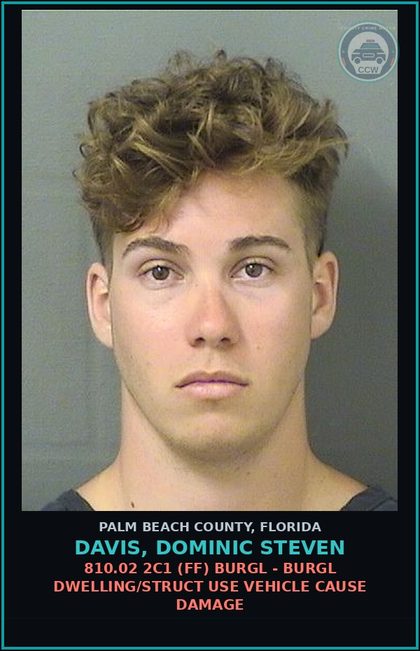 CCW arrest card for DAVIS, DOMINIC STEVEN in Palm Beach County: 810.02 2C1 (FF) BURGL - BURGL DWELLING/STRUCT USE VEHICLE CAUSE DAMAGE