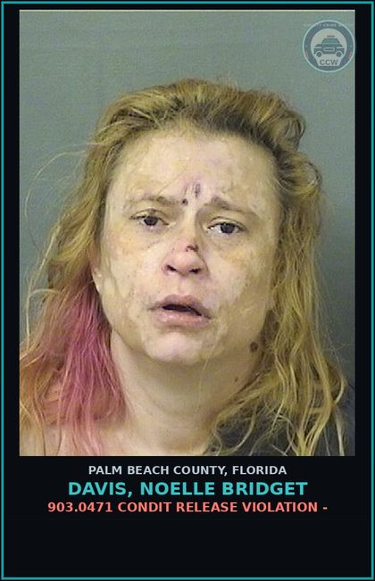 CCW arrest card for DAVIS, NOELLE BRIDGET in Palm Beach County: 903.0471 CONDIT RELEASE VIOLATION -