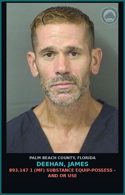 CCW arrest card for DEEHAN, JAMES in Palm Beach County: 893.13 6A (FT) DRUGS-POSSESS - POSSESS contr substance W/O PRESCRIPTION