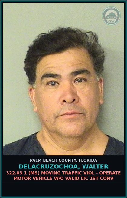 CCW arrest card for DELACRUZOCHOA, WALTER in Palm Beach County: 322.03 1 (MS) MOVING TRAFFIC VIOL - OPERATE MOTOR VEHICLE W/O VALID LIC 1ST CONV