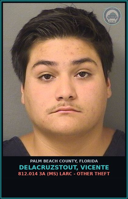 CCW arrest card for DELACRUZSTOUT, VICENTE in Palm Beach County: 812.014 3A (MS) LARC - OTHER THEFT