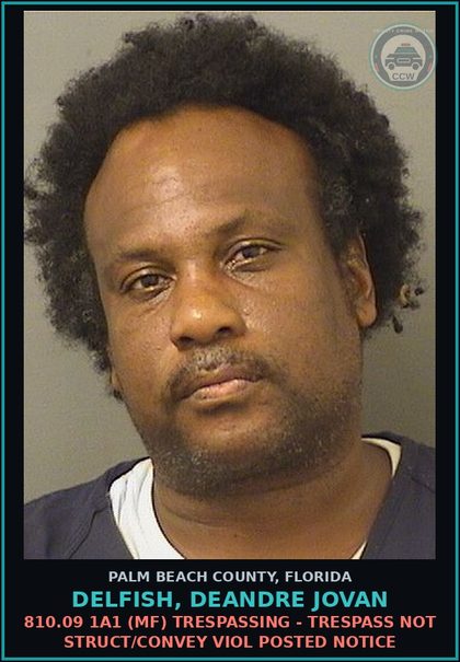 CCW arrest card for DELFISH, DEANDRE JOVAN in Palm Beach County: 810.09 1A1 (MF) TRESPASSING - TRESPASS NOT STRUCT/CONVEY VIOL POSTED NOTICE