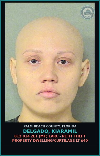 CCW arrest card for DELGADO, KIARAMIL in Palm Beach County: 812.014 2E1 (MF) LARC - PETIT THEFT PROPERTY DWELLING/CURTILAGE LT $40