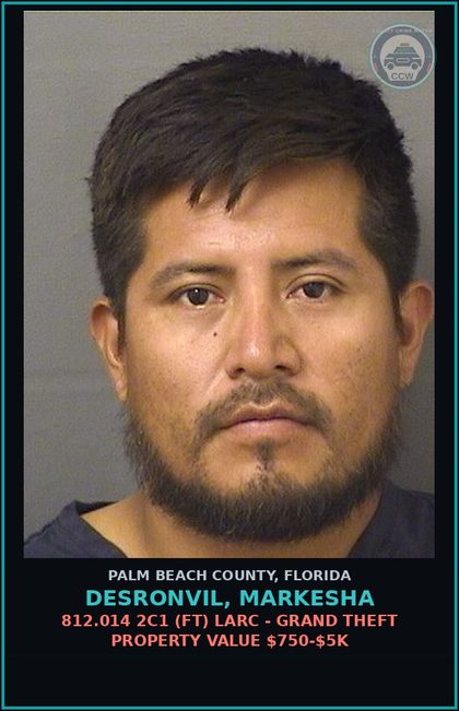CCW arrest card for DESRONVIL, MARKESHA in Palm Beach County: 843.15 1B (MF) FAILURE TO APPEAR -