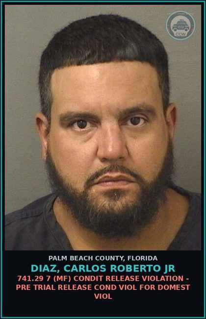 CCW arrest card for DIAZ, CARLOS ROBERTO Jr in Palm Beach County: 741.29 7 (MF) CONDIT RELEASE VIOLATION - PRE TRIAL RELEASE COND VIOL FOR DOMEST VIOL
