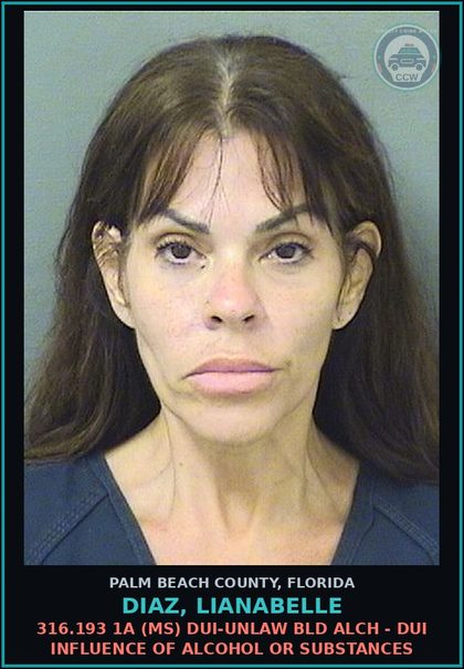 CCW arrest card for DIAZ, LIANABELLE in Palm Beach County: 316.193 1A (MS) DUI-UNLAW BLD ALCH - DUI INFLUENCE OF ALCOHOL OR DRUGS