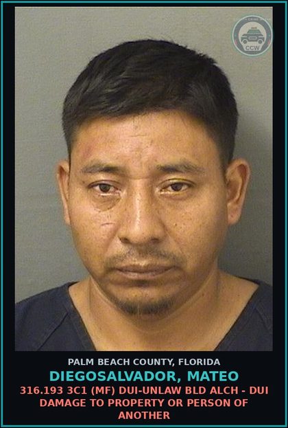 CCW arrest card for DIEGOSALVADOR, MATEO in Palm Beach County: 316.193 3C1 (MF) DUI-UNLAW BLD ALCH - DUI DAMAGE TO PROPERTY OR PERSON OF ANOTHER