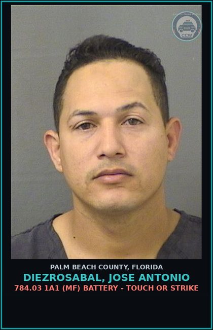CCW arrest card for DIEZROSABAL, JOSE ANTONIO in Palm Beach County: 784.03 1A1 (MF) BATTERY - TOUCH OR STRIKE