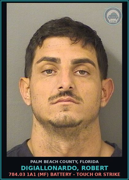 CCW arrest card for DIGIALLONARDO, ROBERT in Palm Beach County: 784.03 1A1 (MF) BATTERY - TOUCH OR STRIKE