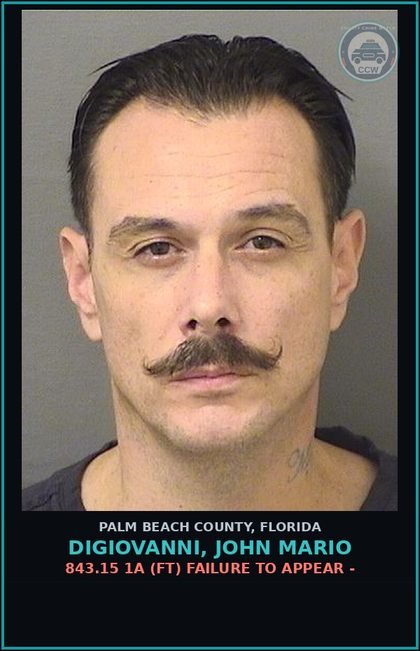 CCW arrest card for DIGIOVANNI, JOHN MARIO in Palm Beach County: 843.15 1A (FT) FAILURE TO APPEAR -