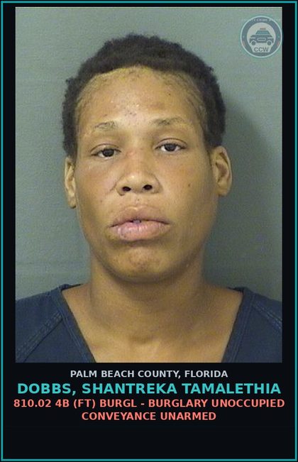 CCW arrest card for DOBBS, SHANTREKA TAMALETHIA in Palm Beach County: 810.02 4B (FT) BURGL - BURGLARY UNOCCUPIED CONVEYANCE UNARMED
