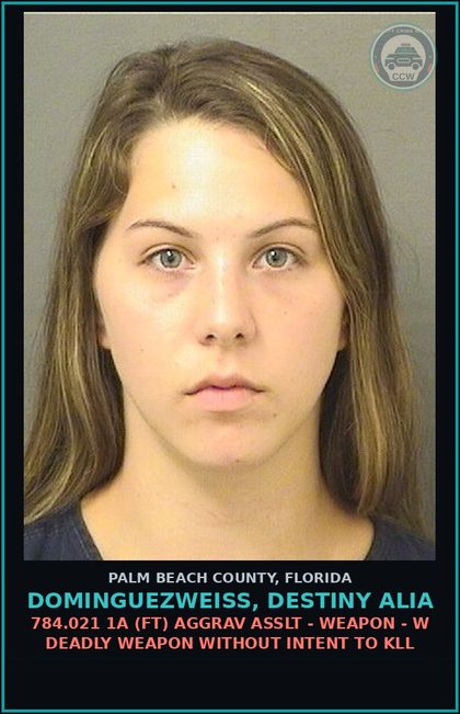 CCW arrest card for DOMINGUEZWEISS, DESTINY ALIA in Palm Beach County: 784.021 1A (FT) AGGRAV ASSLT - WEAPON - W DEADLY WEAPON WITHOUT INTENT TO KILL