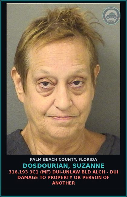 CCW arrest card for DOSDOURIAN, SUZANNE in Palm Beach County: 316.193 3C1 (MF) DUI-UNLAW BLD ALCH - DUI DAMAGE TO PROPERTY OR PERSON OF ANOTHER