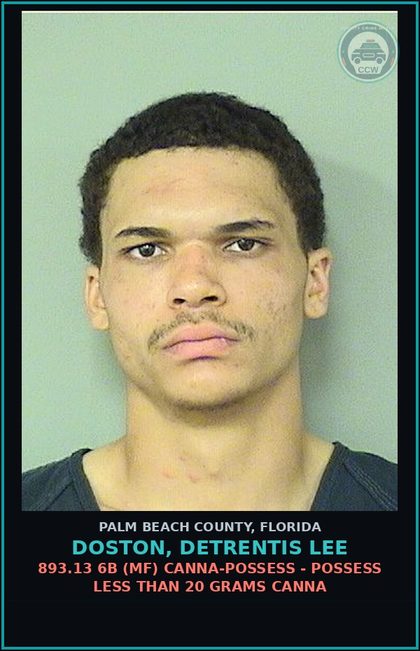 CCW arrest card for DOSTON, DETRENTIS LEE in Palm Beach County: 918.13 1A (FT) OBSTRUCTING JUSTICE - TAMPER W EVIDENCE IN CRIMINAL PROCEEDING