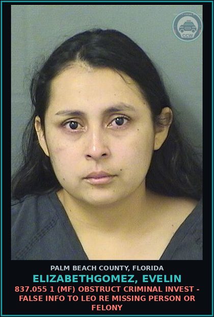 CCW arrest card for ELIZABETHGOMEZ, EVELIN in Palm Beach County: 843.02 (MF) RESIST OFFICER - OBSTRUCT W/O VIOLENCE