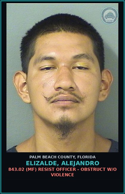 CCW arrest card for ELIZALDE, ALEJANDRO in Palm Beach County: 843.02 (MF) RESIST OFFICER - OBSTRUCT W/O VIOLENCE