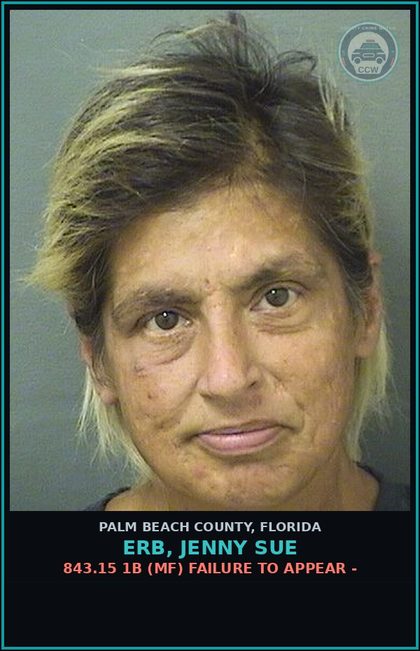 CCW arrest card for ERB, JENNY SUE in Palm Beach County: 843.15 1B (MF) FAILURE TO APPEAR -