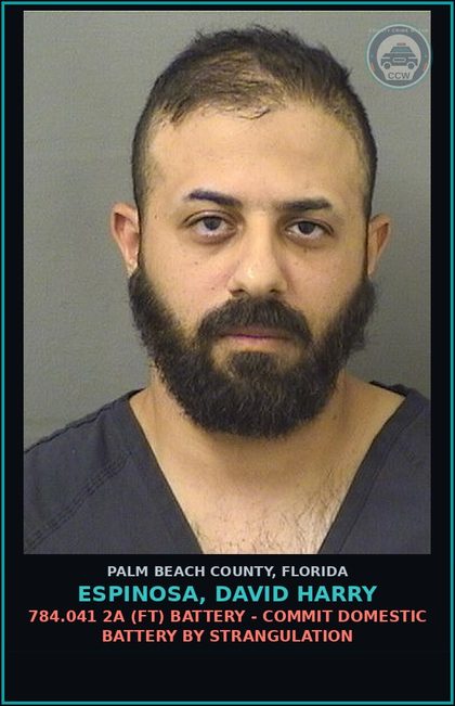 CCW arrest card for ESPINOSA, DAVID HARRY in Palm Beach County: 784.041 2A (FT) BATTERY - COMMIT DOMESTIC BATTERY BY STRANGULATION