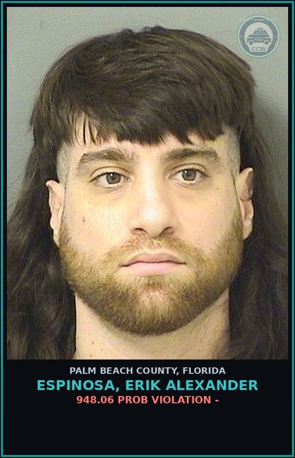 CCW arrest card for ESPINOSA, ERIK ALEXANDER in Palm Beach County: 948.06 PROB VIOLATION -