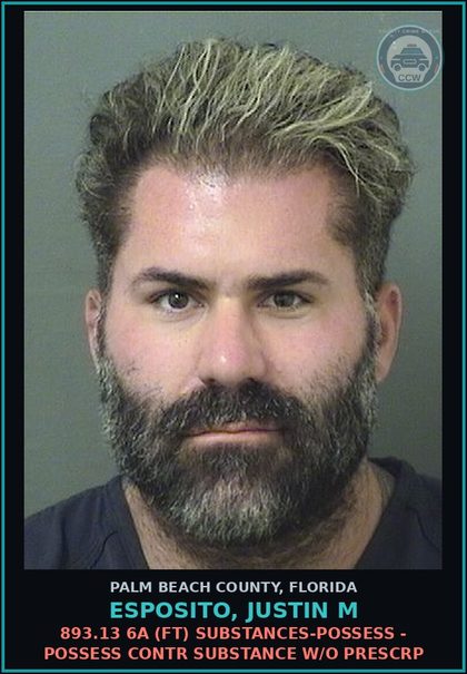 CCW arrest card for ESPOSITO, JUSTIN M in Palm Beach County: 893.13 6A (FT) DRUGS-POSSESS - POSSESS contr substance W/O PRESCRIPTION