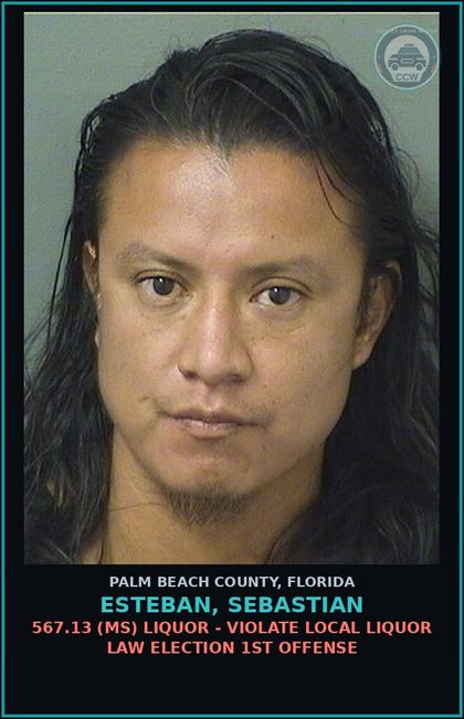 CCW arrest card for ESTEBAN, SEBASTIAN in Palm Beach County: 567.13 (MS) LIQUOR - VIOLATE LOCAL LIQUOR LAW ELECTION 1ST OFFENSE