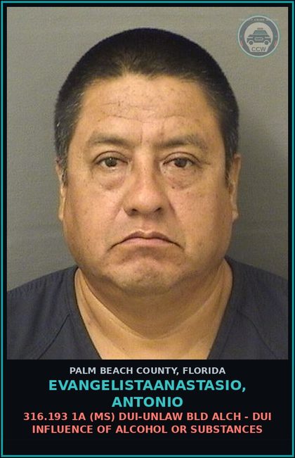 CCW arrest card for EVANGELISTAANASTASIO, ANTONIO in Palm Beach County: 316.193 1A (MS) DUI-UNLAW BLD ALCH - DUI INFLUENCE OF ALCOHOL OR DRUGS