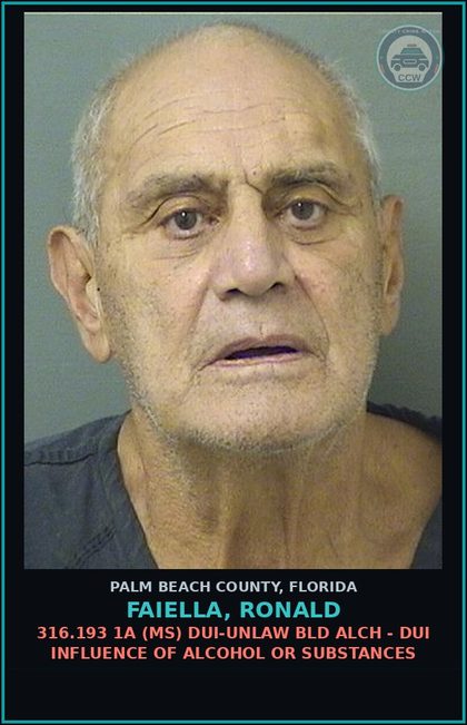 CCW arrest card for FAIELLA, RONALD in Palm Beach County: 316.193 1A (MS) DUI-UNLAW BLD ALCH - DUI INFLUENCE OF ALCOHOL OR DRUGS
