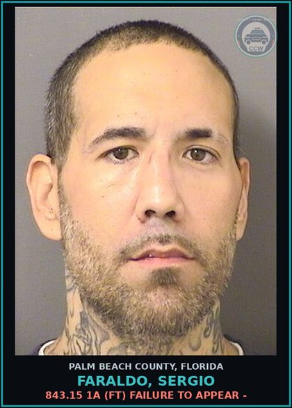 CCW arrest card for FARALDO, SERGIO in Palm Beach County: 843.15 1A (FT) FAILURE TO APPEAR -