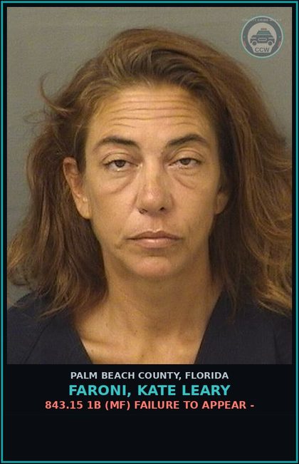 CCW arrest card for FARONI, KATE LEARY in Palm Beach County: 843.15 1B (MF) FAILURE TO APPEAR -