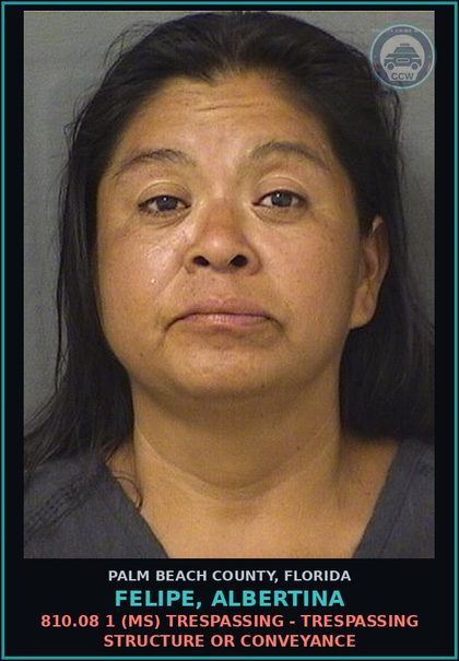 CCW arrest card for FELIPE, ALBERTINA in Palm Beach County: 810.08 1 (MS) TRESPASSING - TRESPASSING STRUCTURE OR CONVEYANCE