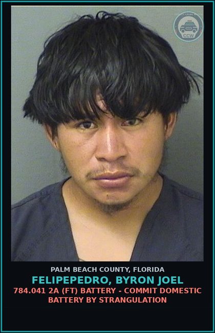 CCW arrest card for FELIPEPEDRO, BYRON JOEL in Palm Beach County: 784.03 1A1 (MF) BATTERY - TOUCH OR STRIKE