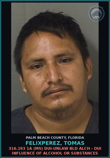 CCW arrest card for FELIXPEREZ, TOMAS in Palm Beach County: 316.193 1A (MS) DUI-UNLAW BLD ALCH - DUI INFLUENCE OF ALCOHOL OR DRUGS