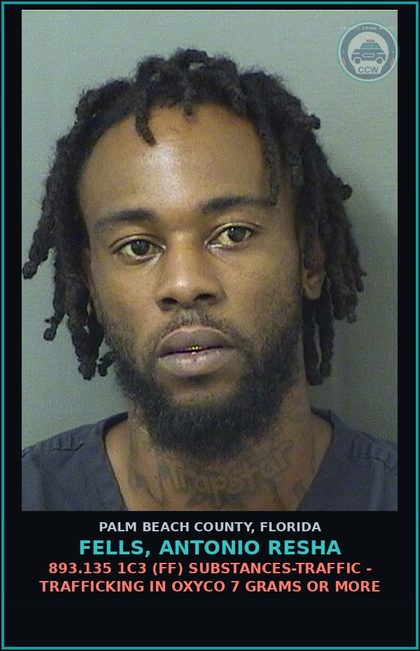 CCW arrest card for FELLS, ANTONIO RESHA in Palm Beach County: 893.13 6A (FT) DRUGS-POSSESS - POSSESS contr substance W/O PRESCRIPTION