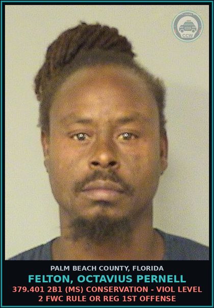 CCW arrest card for FELTON, OCTAVIUS PERNELL in Palm Beach County: 379.401 2B1 (MS) CONSERVATION - VIOL LEVEL 2 FWC RULE OR REG 1ST OFFENSE
