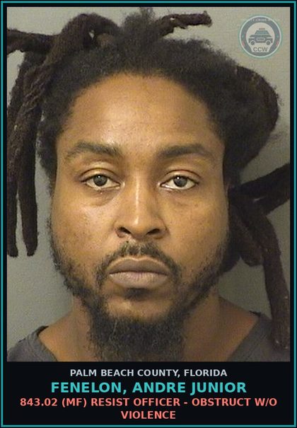 CCW arrest card for FENELON, ANDRE JUNIOR in Palm Beach County: 316.061 1 (MS) HIT AND RUN - LEAVE SCENE OF CRASH INVOLVE DAMAGE TO PROP