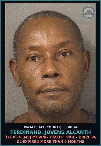 CCW arrest card for FERDINAND, JOVENS ALCANTH in Palm Beach County: 322.03 6 (MS) MOVING TRAFFIC VIOL - DRIVE W/ DL EXPIRED MORE THAN 6 MONTHS