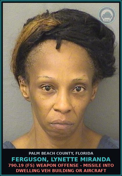 CCW arrest card for FERGUSON, LYNETTE MIRANDA in Palm Beach County: 806.14 2C (FT) DAMAGE PROP-PUBLIC - DAMAGE ART WORKS IN PUBLIC BLDG $1000+