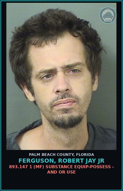CCW arrest card for FERGUSON, ROBERT JAY Jr in Palm Beach County: 893.13 6A (FT) DRUGS-POSSESS - POSSESS contr substance W/O PRESCRIPTION