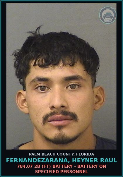 CCW arrest card for FERNANDEZARANA, HEYNER RAUL in Palm Beach County: 784.03 1A1 (MF) BATTERY - TOUCH OR STRIKE