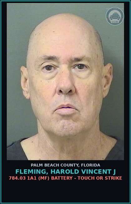 CCW arrest card for FLEMING, HAROLD VINCENT J in Palm Beach County: 784.03 1A1 (MF) BATTERY - TOUCH OR STRIKE